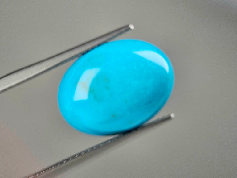 TRQ-13　ターコイズ　8.30ct