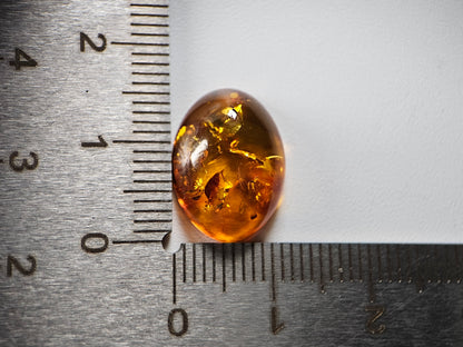 KHK-8　琥珀　3.39ct