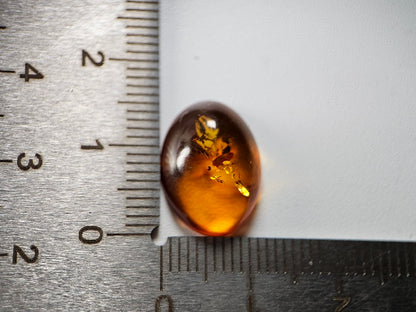 KHK-12　琥珀　3.19ct