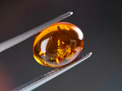 KHK-22　琥珀　1.47ct