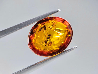 KHK-24　琥珀　1.46ct
