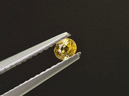 【500円均一】6/22新着！　イエローサファイア　0.18ct　1