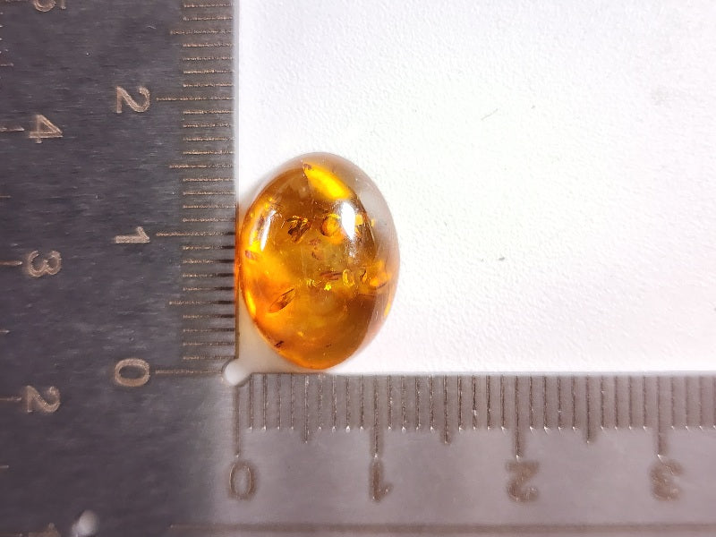 KHK-17 琥珀 3.11ct – 東洋ルース公式オンラインショップ