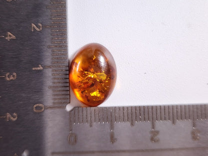 KHK-18　琥珀　2.88ct