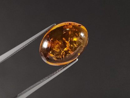 KHK-19　琥珀　2.60ct