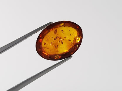 KHK-19　琥珀　2.60ct