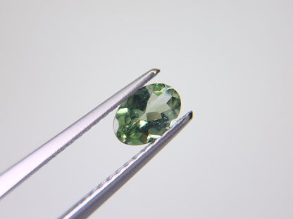gAP-15　グリーンアパタイト　0.39ct