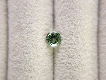 gAP-6　グリーンアパタイト　0.57ct