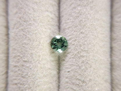 gAP-8　グリーンアパタイト　0.56ct