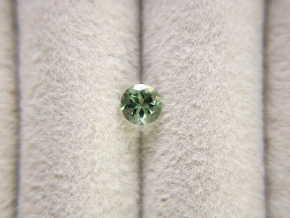 gAP-10　グリーンアパタイト　0.51ct