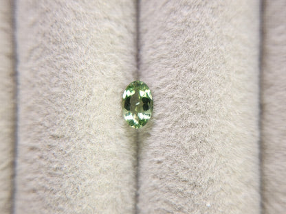 gAP-13　グリーンアパタイト　0.41ct