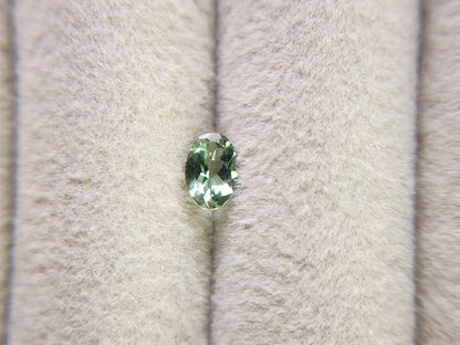 gAP-15　グリーンアパタイト　0.39ct