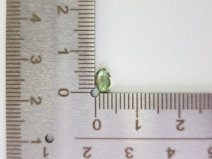 gAP-13　グリーンアパタイト　0.41ct