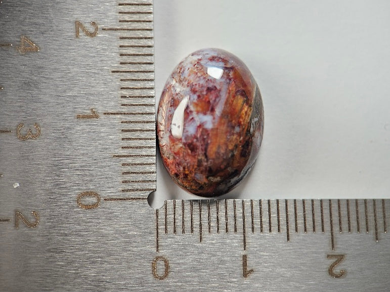 PIT-26　ピータサイト　9.90ct