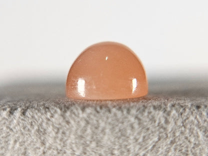 oMO-10　オレンジムーンストーン　4.86ct