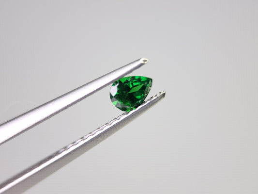 TSV-24　ツァボライト　0.19ct