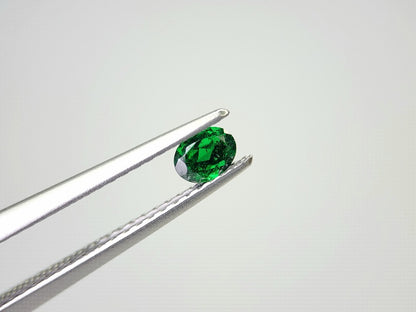 TSV-41　ツァボライト　0.24ct