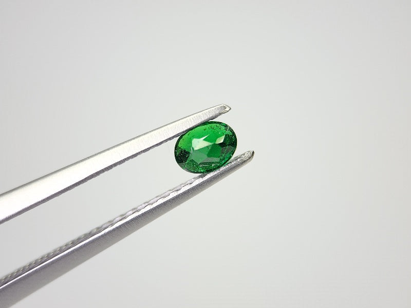 TSV-41　ツァボライト　0.24ct