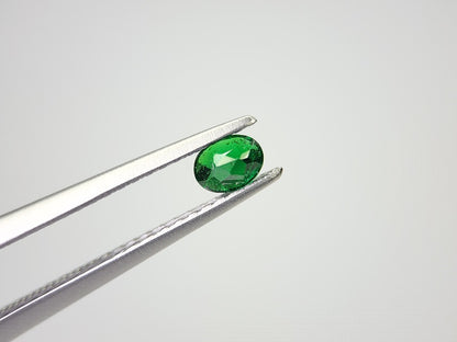 TSV-41　ツァボライト　0.24ct
