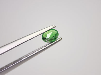 TSV-42　ツァボライト　0.23ct