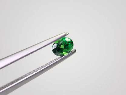 TSV-44　ツァボライト　0.23ct
