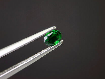 TSV-45　ツァボライト　0.22ct