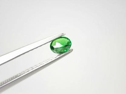 TSV-45　ツァボライト　0.22ct