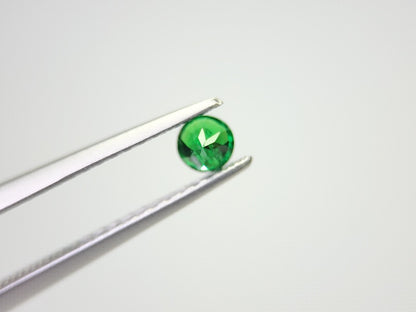 TSV-113　ツァボライト　0.16ct