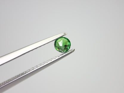 TSV-115　ツァボライト　0.15ct