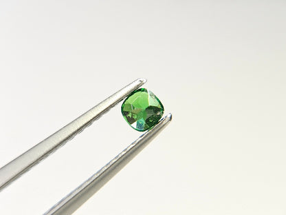 TSV-65　ツァボライト　0.20ct