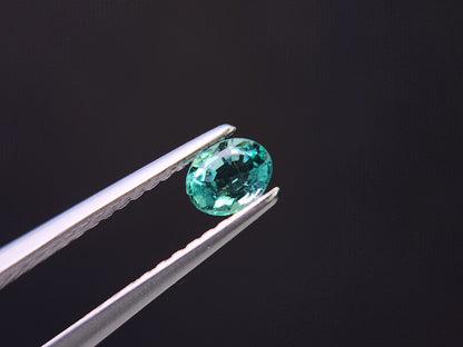 EM-21　エメラルド　0.22ct