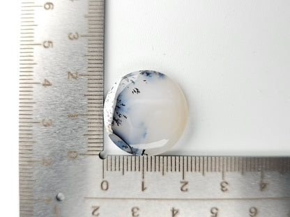 DRO-5　デンドリックオパール　17.83ct