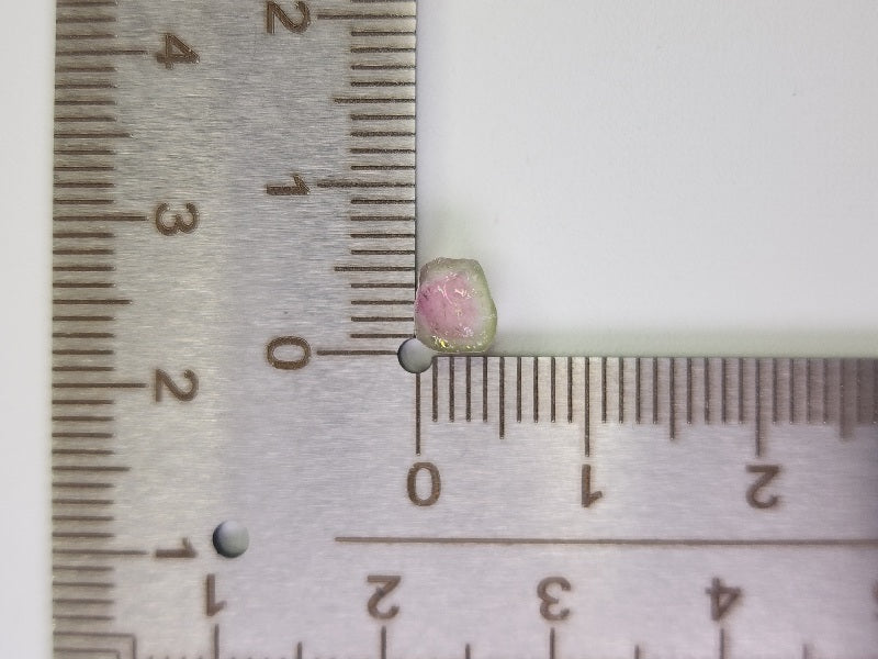 WTRM-1　ウォーターメロントルマリン　0.91ct