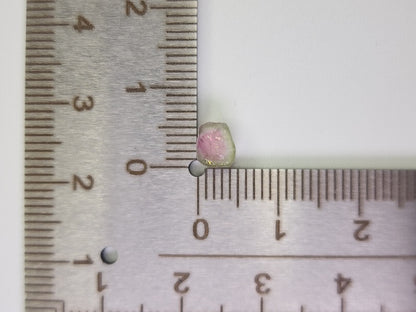 WTRM-1　ウォーターメロントルマリン　0.91ct
