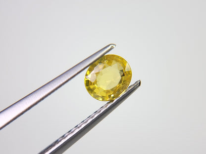 yeSA-5　イエローサファイア　0.52ct