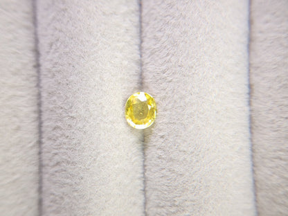 yeSA-5　イエローサファイア　0.52ct