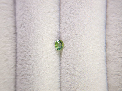 gSA-12　グリーンサファイア　0.22ct