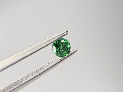TSV-10　ツァボライト　0.22ct