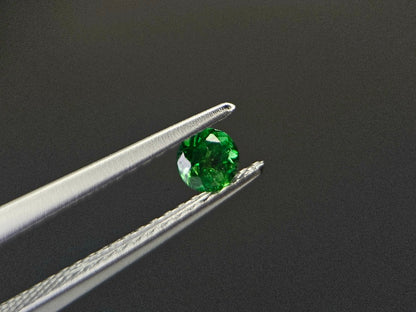 TSV-10　ツァボライト　0.22ct