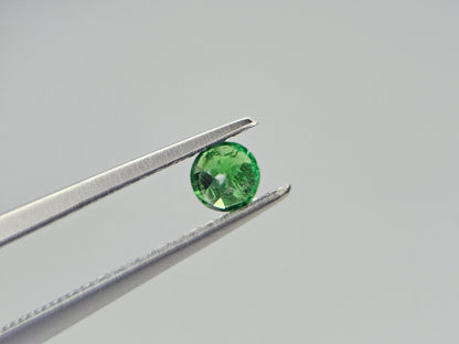 TSV-10　ツァボライト　0.22ct