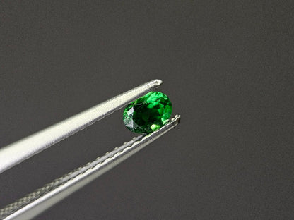 TSV-46　ツァボライト　0.22ct