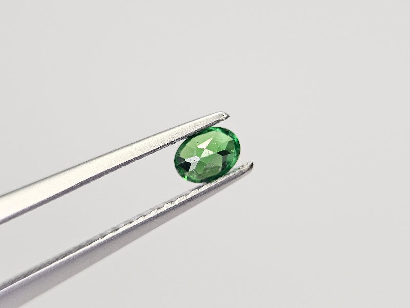 TSV-46　ツァボライト　0.22ct