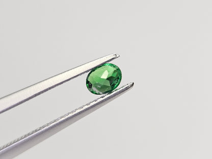 TSV-47　ツァボライト　0.21ct