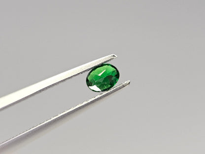 TSV-48　ツァボライト　0.21ct
