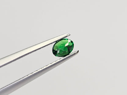 TSV-49　ツァボライト　0.21ct