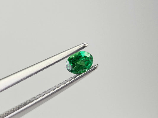 TSV-50　ツァボライト　0.21ct