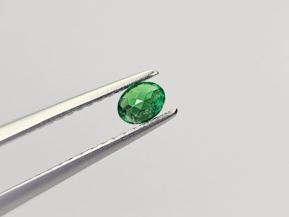 TSV-50　ツァボライト　0.21ct