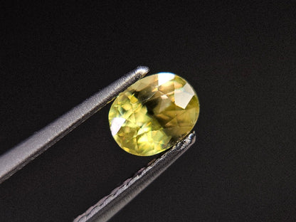 SPH-31　スフェーン　0.49ct