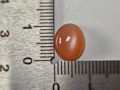 oMO-21　オレンジムーンストーン　3.67ct