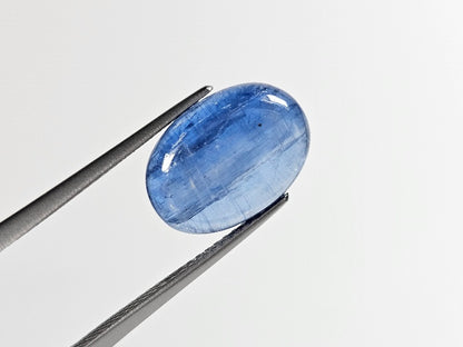 KY-31　カイヤナイト　5.74ct